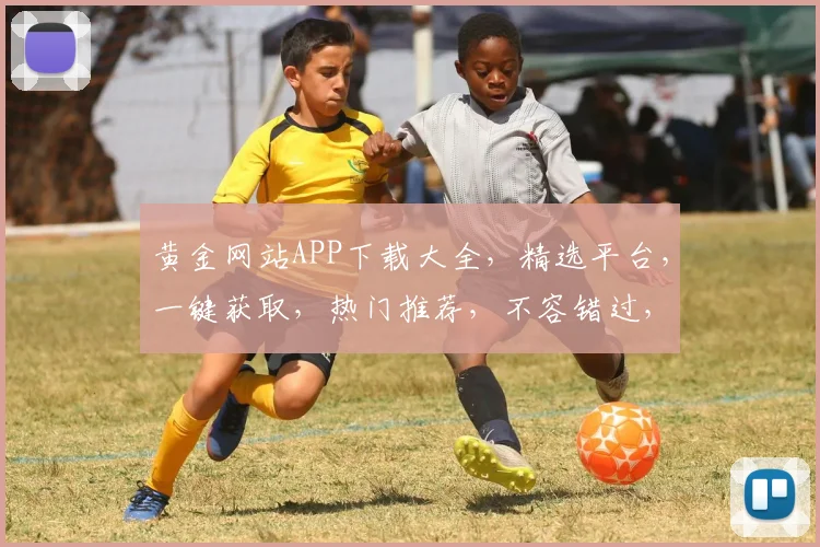 黄金网站APP下载大全，精选平台，一键获取，热门推荐，不容错过，轻松下载。